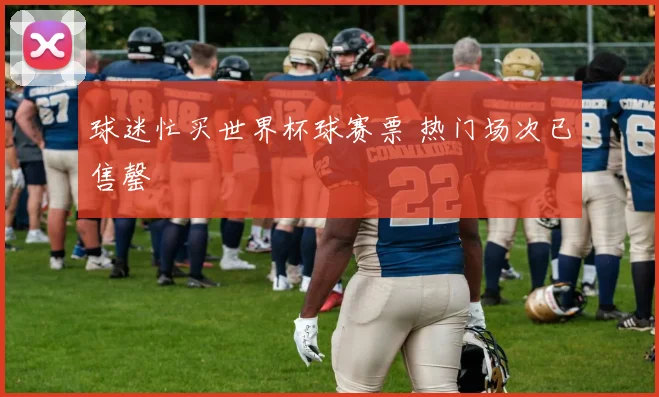 球迷忙买世界杯球赛票 热门场次已售罄