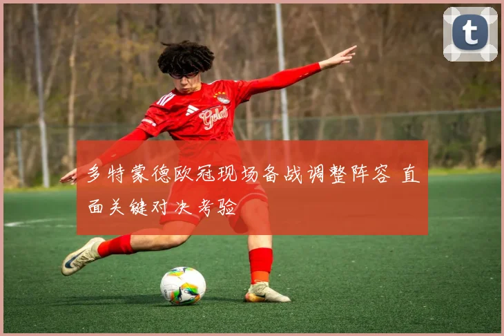 多特蒙德欧冠现场备战调整阵容 直面关键对决考验