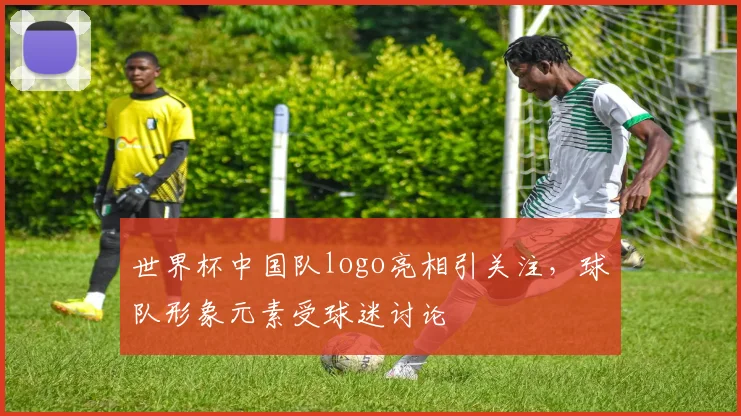 世界杯中国队logo亮相引关注，球队形象元素受球迷讨论